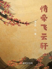 情牵飞云轩封面