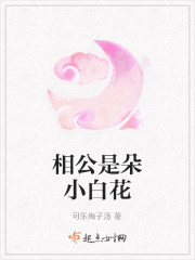 相公是朵小白花封面