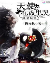 琉璃城堡:天使在夜里哭封面