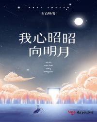 我心昭昭向明月封面