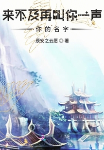 来不及再叫你一声你的名字封面