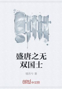 盛唐之无双国士封面