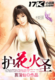 护花火圣封面