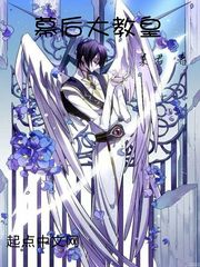 幕后大教皇封面