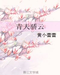 青天骄云封面