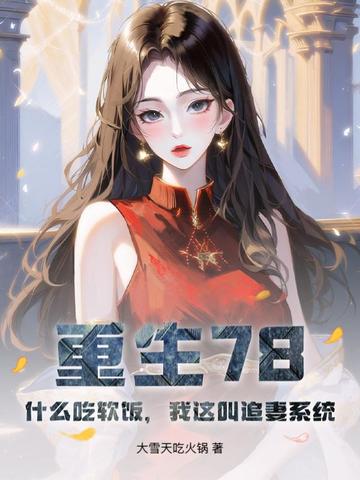 重生78：什么吃软饭，我这叫追妻系统封面