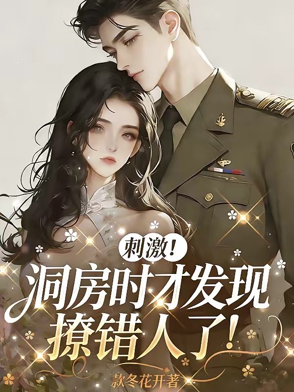 撩撩而已，替嫁首长怎么上瘾了？封面