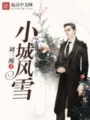 小城风雪封面