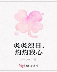 炎炎烈日,灼灼我心封面