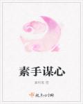 素手谋心封面