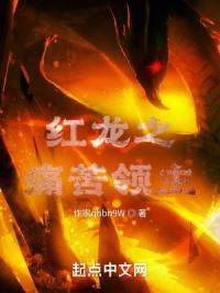 红龙之痛苦领主封面