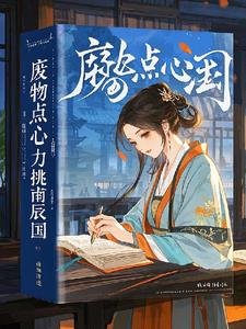 废物点心力挑南辰国封面