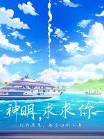 神明，求求你封面