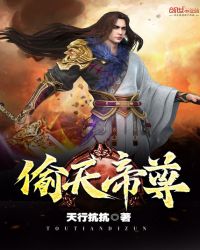 偷天帝尊封面
