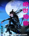 绝世神偷封面