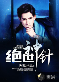 绝世神针封面