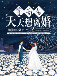 霍先生天天想离婚封面