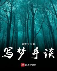 写梦手谈封面