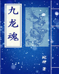 九龙魂封面
