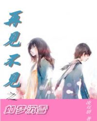 再见不见之如梦沉雪封面