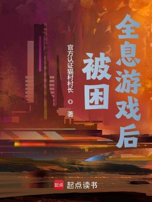 被困全息游戏后封面