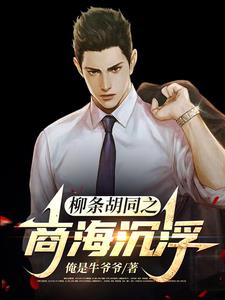 柳条胡同之江湖往事封面