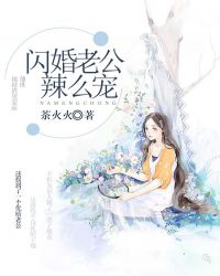 闪婚老公辣么宠封面
