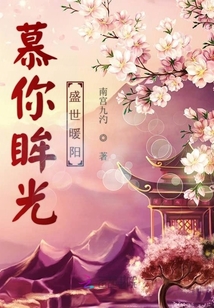 慕你眸间盛世暖阳封面