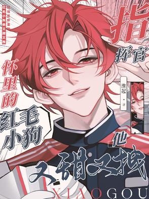 指挥官怀里的红毛小狗他又甜又拽封面