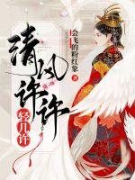 清风徐徐轻几许封面