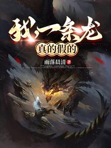 我，一条龙，真的假的封面