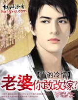 雪豹冷情:老婆,你敢改嫁?封面