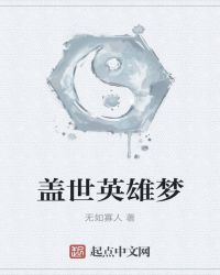 盖世英雄梦封面