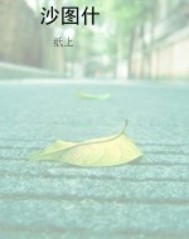 沙图什封面