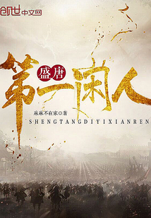 盛唐第一闲人封面