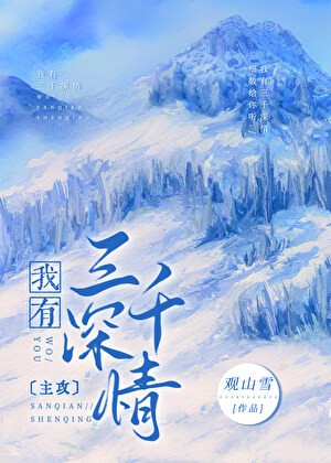 我有三千深情封面