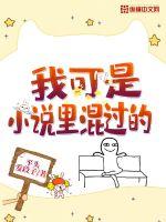 我可是小说里混过的封面