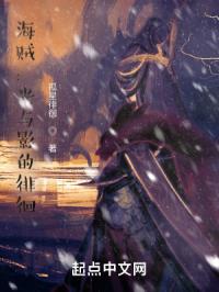 海贼：光与影的徘徊封面