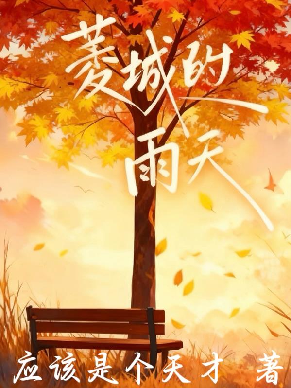 菱城的雨天封面