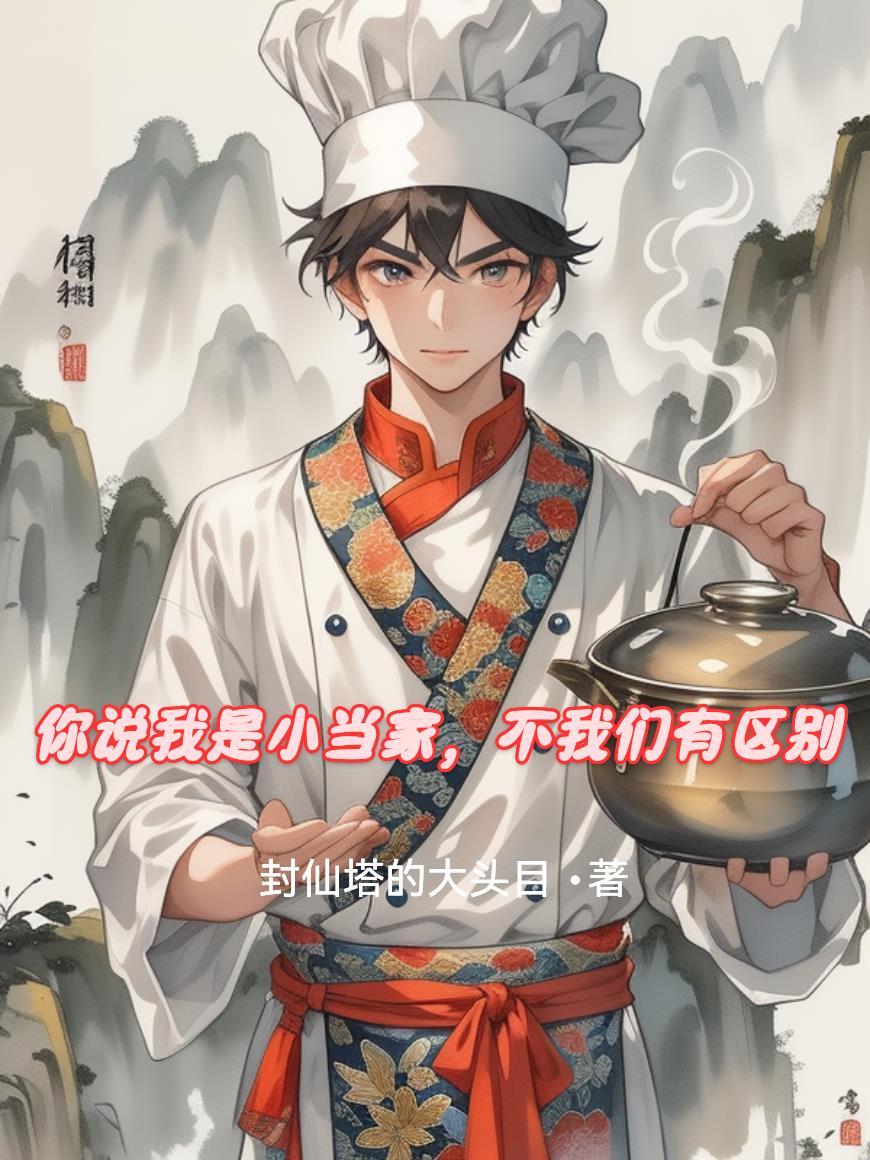 你说我是小当家，不我们有区别封面