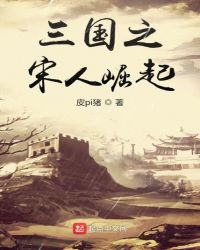 三国之宋人崛起封面