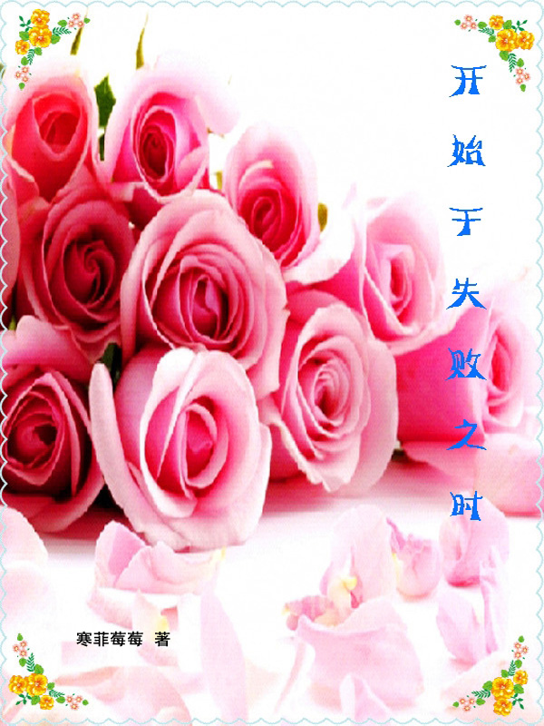 开始于失败之时封面