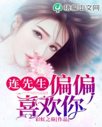 连先生偏偏喜欢你封面