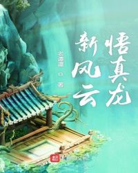 新风云悟真龙封面