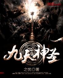 九天神圣封面