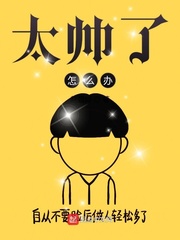 太帅了怎么办封面