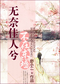 穿越之太妃传封面