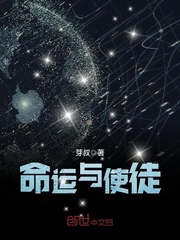 命运与使徒封面
