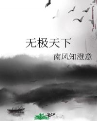 无极天下封面