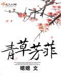 青草芳菲封面
